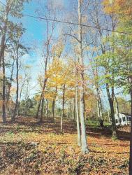 Property at 303 Wells Jones Road