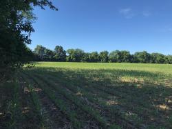 26 ac River Road Chillicothe, OH 45601