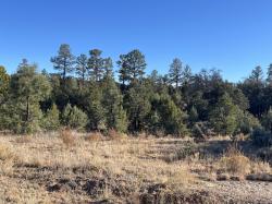 80 Acres Forest Rd 220 Magdalena, NM 87825