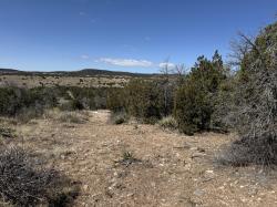 156a County Line Road Edgewood, NM 87015