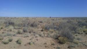 2nd Ave, Unit 8, Blk94, Lot 49 SW, Rio Rancho, NM 87124