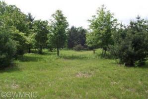 N Porter Creek, Free Soil, MI 49431