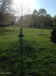 5343 N Thunderbird Drive, Fountain, MI 49410