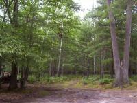 1380 W White Road, Free Soil, MI 49411