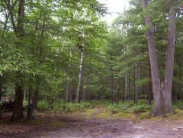 1380 W White Road, Free Soil, MI 49411