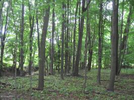 881 N Custer Road, Custer, MI 49405