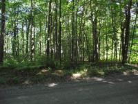 W Beech, Ludington, MI 49431