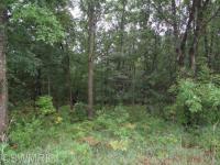 E First Street, Walhalla, MI 49458