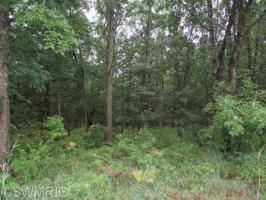 E First Street, Walhalla, MI 49458