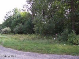 1238 Hillside Drive, Ludington, MI 49431