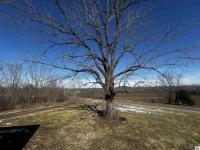 22055 Marion Rd Fredonia, KY 42411