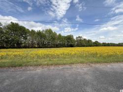 2201 State Route 1241 Hickory, KY 42051
