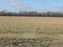 Lot 7 Golden Meadow Lane Ledbetter, KY 42058