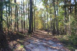 595 Malone Farm Rd Belton, Muhlenburg County, KY