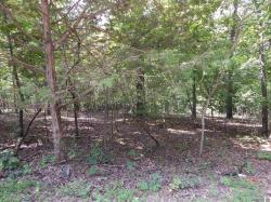 Lot 29 Imogene Dr Gilbertsville, KY
