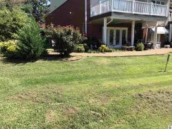1139 Augusta Dr Mayfield, KY 42066