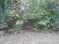 Lot 45 Forest Lane Eddyville, KY