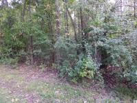 Lot 45 Forest Lane Eddyville, KY