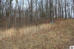 Lot 35 Roy Harris Road Kuttawa, KY 42055