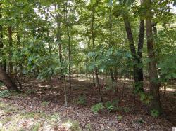 Lot 30 Imogene Dr Gilbertsville, KY