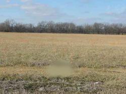 206 Burd Circle Ledbetter, KY 42058
