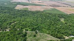 000 Bluff Hickman, KY