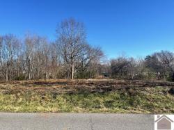 6354 State Route 1283 Water Valley, KY 42085