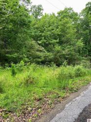 00 Tearose Dr. New Concord, KY