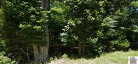 lots 96 97 Deercrest Lane Murray, KY 42071