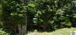 lots 96 97 Deercrest Lane Murray, KY 42071