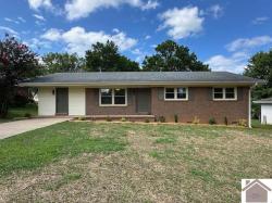 203 Cantrell Drive Princeton, KY 42445