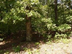 Lot 58 Imogene Dr Gilbertsville, KY