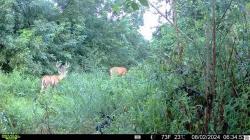 Tract 4 Ky-175 Ky Other, KY 42325