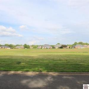 Lot 35 Summerlin Dr Ledbetter, KY 42058