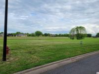 Lot 35 Summerlin Dr Ledbetter, KY 42058