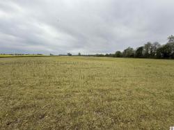 County Road 1305/1306 Bardwell, KY