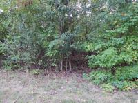 Lot 44 Forest Lane Eddyville, KY