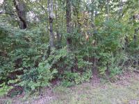 Lot 44 Forest Lane Eddyville, KY