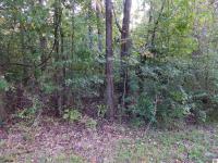 Lot 44 Forest Lane Eddyville, KY
