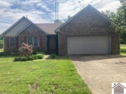 1100 Cindy Lane Mayfield, KY 42066