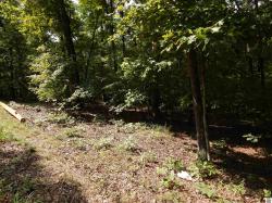 Lot 25 Imogene Dr Gilbertsville, KY