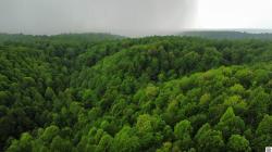 Gap Knob Rd Ky Other, KY