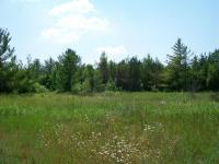 1255 Levering Road, Cheboygan, MI 49721