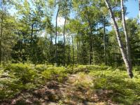 Orchard Road, Cheboygan, MI 49721