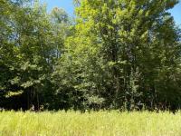 Birch Drive, Wolverine, MI 49799