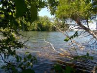 10266 W Munro Lake Drive, Levering, MI 49755