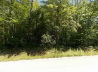 15193 Promenade Des Skieurs, Wolverine, MI 49799