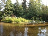 3796 Victor Drive, Indian River, MI 49749