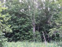 6864 Zolner Road, Cheboygan, MI 49721