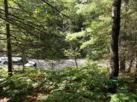14826 Shore Line Drive, Wolverine, MI 49799